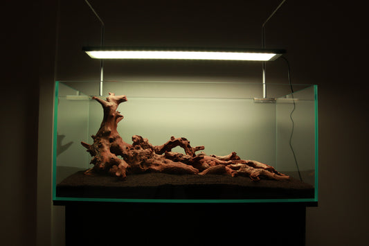 How to Dark Start/Cycle an Aquarium