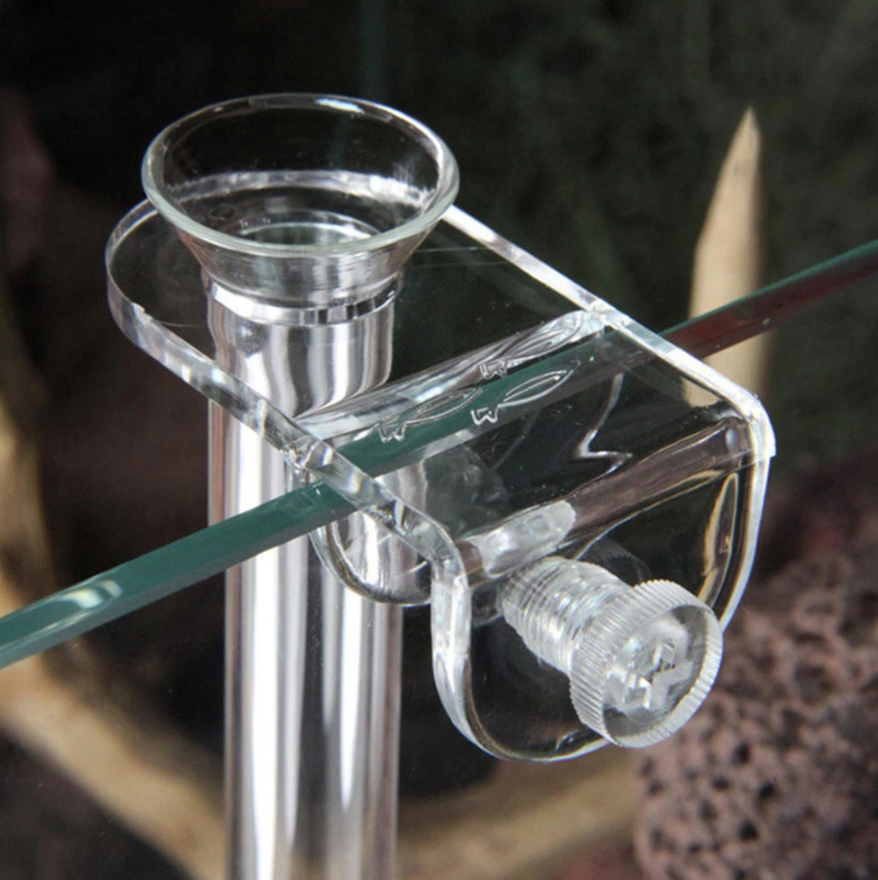 Shrimp Feeding Tube