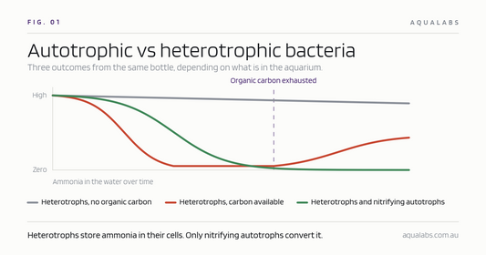 Autotrophic v Heterotrophic Bacteria in the Aquarium