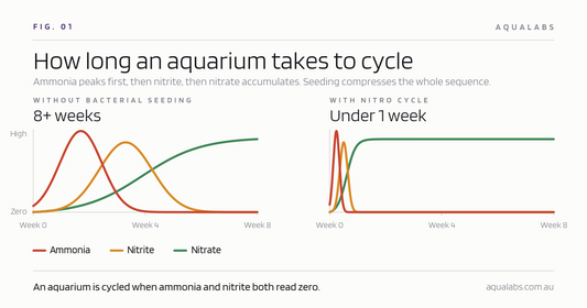 How to Make my Aquarium Cycle Faster