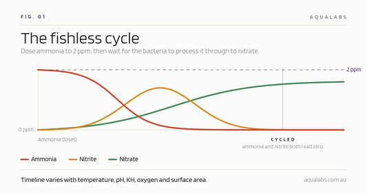 How to Fishless Cycle an Aquarium