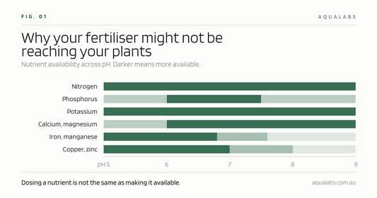 Chart showing nutrient availability across pH 5 to 9. Nitrogen and potassium stay available throughout, while iron, manganese, copper and zinc drop away sharply above pH 7