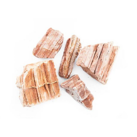 Red Fossil Wood (1kg)